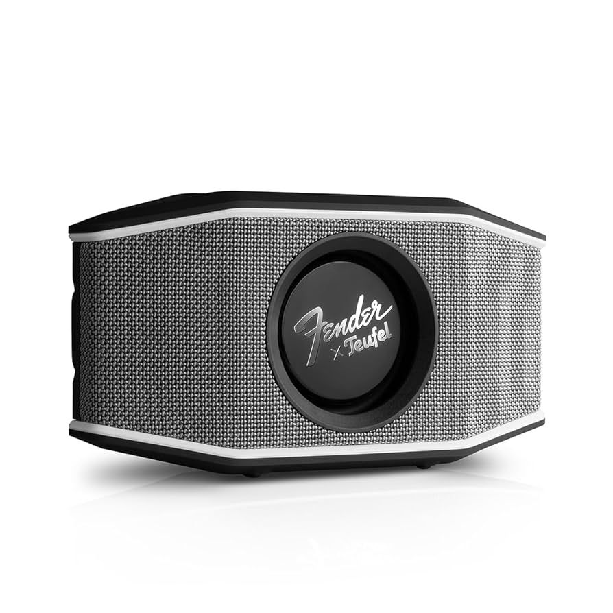 Teufel ROCKSTER GO 2 Bluetooth Speaker gray black