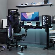 ThunderX3 FLEX Pro ergonomic gaming chair - Mesh