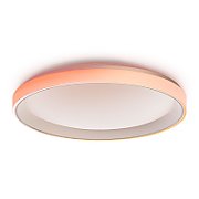 Aqara Ceiling Light T1M Smart Ceiling Light