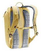 Stepout 16 ginger-turmeric