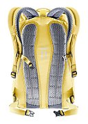 Stepout 22 ginger-turmeric