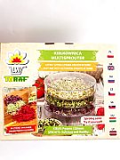 Toraf seed set - 2024