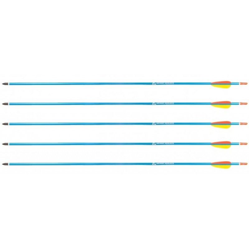 Poe Lang Target 30  D-016-BAluminium arrows 5 pcs Blue