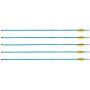 Poe Lang Target 30  D-016-BAluminium arrows 5 pcs Blue