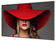 65 D-Line, UHD, 24/7 landscape & portrait, 500cd, Failover, Power by Android 11, CMND (Control and Create), Crestron Connected, WiFi, HTML5...