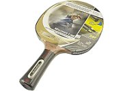 Donic Schildkröt WALDNER 1000 table tennis equipment Multicolour
