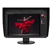 EIZO ColorEdge CG2400S 24.1  monitor