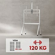 Maclean TV stand / cart  camera shelf  on casters  55-100   max load 120kg/10kg shelf  max. VESA 900x600  white  MC-114 W