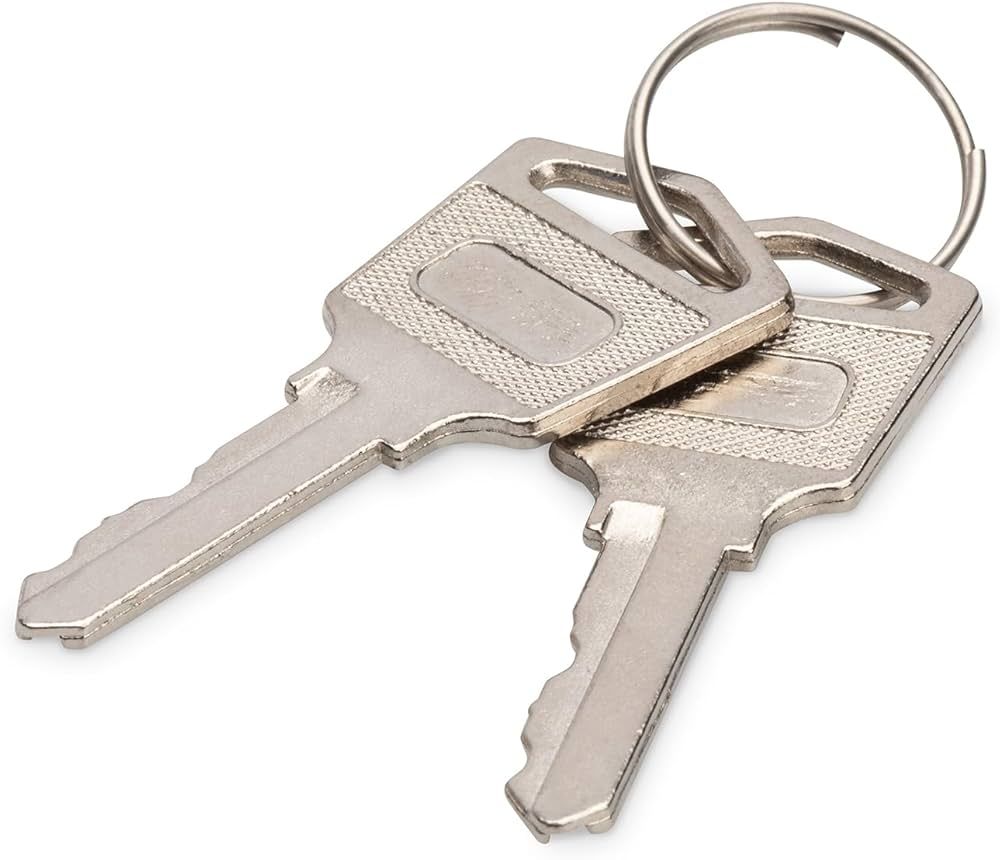 Digitus DN-45000-KEY accesorii pentru carcase Cheie blocare