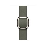 Apple Watch 42mm Modern Buckle: Sage Gray Modern Buckle - Small