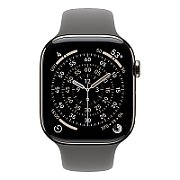 Apple Watch S11 Cellular 46mm Natural Titanium Case with Stone Grey Sport Band - S/M