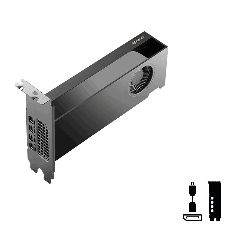 PNY 16GB RTX Pro 2000 Blackwell 4x mDP LP Smallbox  (without Adapter)