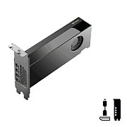 PNY 16GB RTX Pro 2000 Blackwell 4x mDP LP Smallbox  (without Adapter)