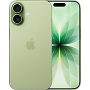 Apple iPhone 17 16 cm (6.3 ) Dual SIM iOS 26 5G USB Type-C 256 GB Sage