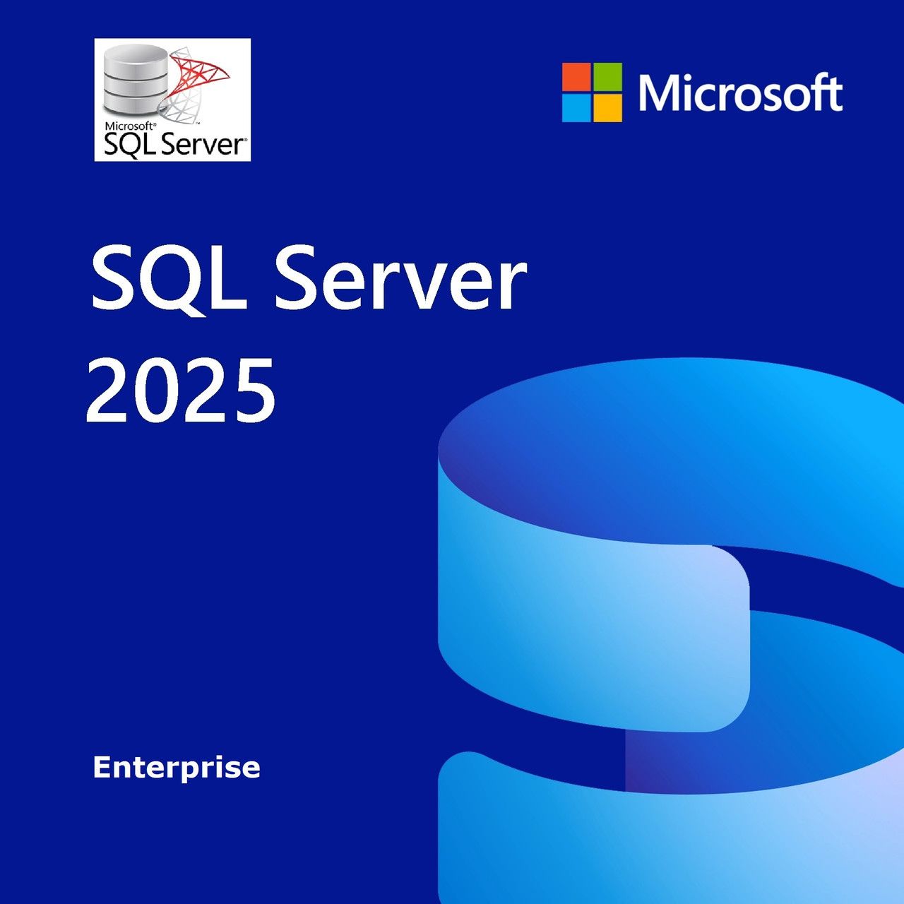 CSP SQL Server 2025 - 1 User CAL NP [P]