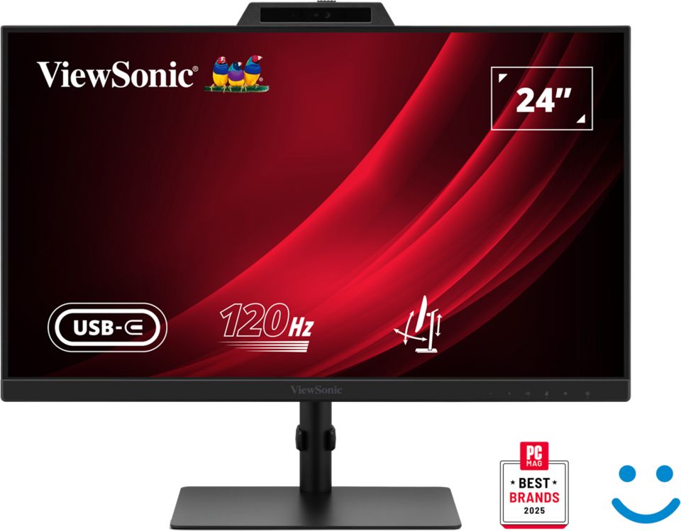 Viewsonic Monitor (VG2441V)